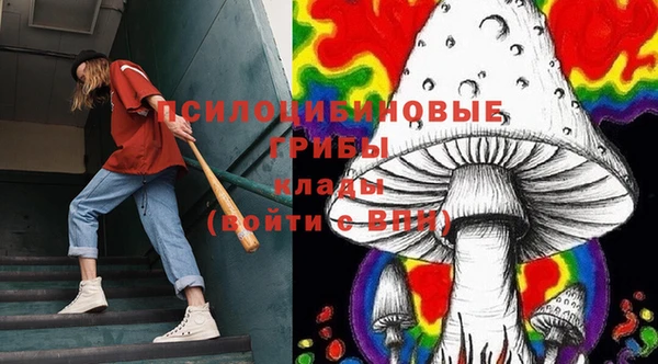 мет Баксан