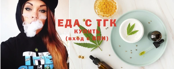 индика Протвино